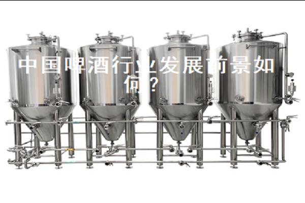 中国啤酒行业发展前景如何？
