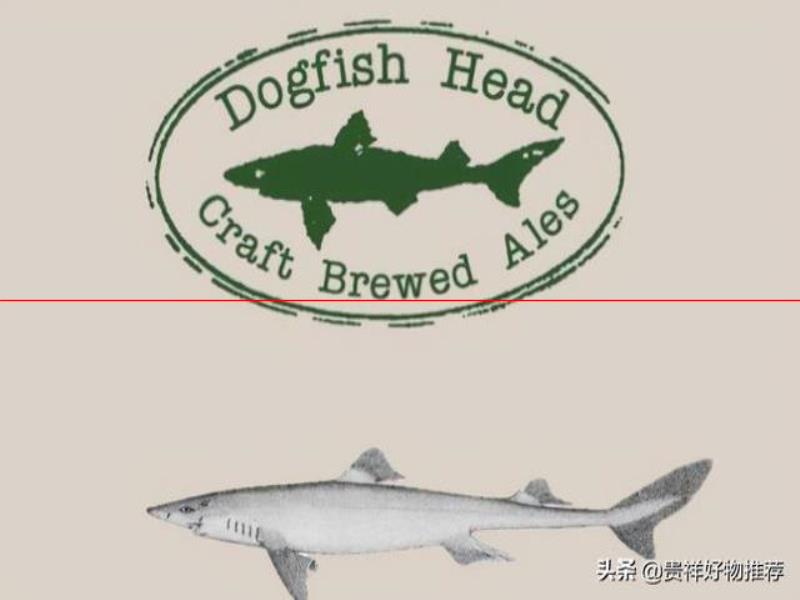 世界十大精酿啤酒品牌，豪格登上榜，角鲨头被誉为世界啤酒