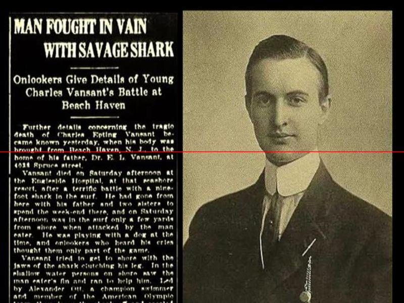 1916年，一条鲨鱼挤进小溪，吞食了5名美国人，居民展开复仇