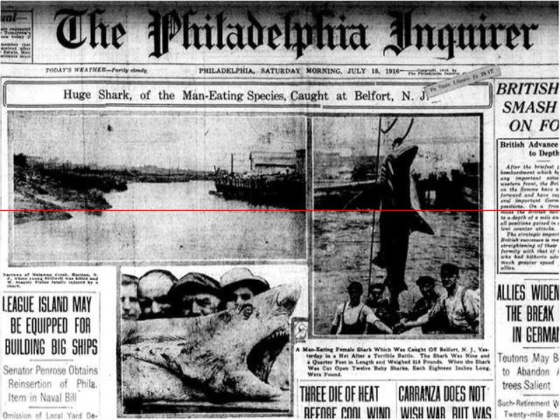 1916年，一条鲨鱼挤进小溪，吞食了5名美国人，居民展开复仇